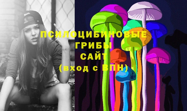твердый Алексин