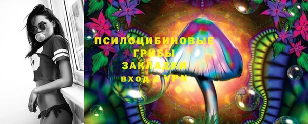 твердый Алексин