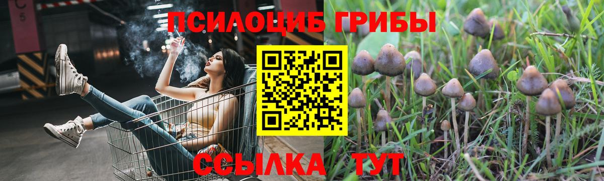 Псилоцибиновые грибы ЛСД  Вход с VPN  Волгодонск 